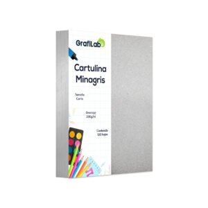 Cartulina Minagris Carta